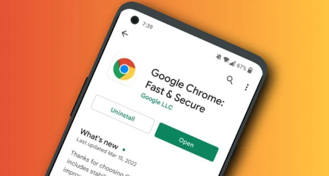 Chrome浏览器下载插件后显示不可识别类型怎么办1